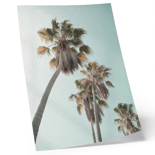 Wandposter Palmen, zarter blauer Himmel, exotisch