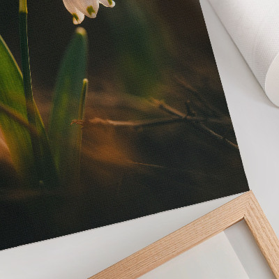 Wandposter Schneeglöckchen, grüne Blätter, warmes Licht