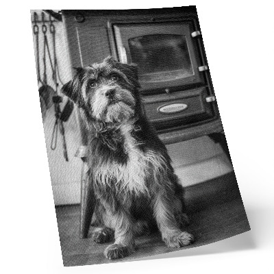 Poster Ein ruhiger schwarz-weißer Hund steht neben einem alten Ofen.