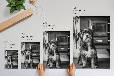 Poster Ein ruhiger schwarz-weißer Hund steht neben einem alten Ofen.
