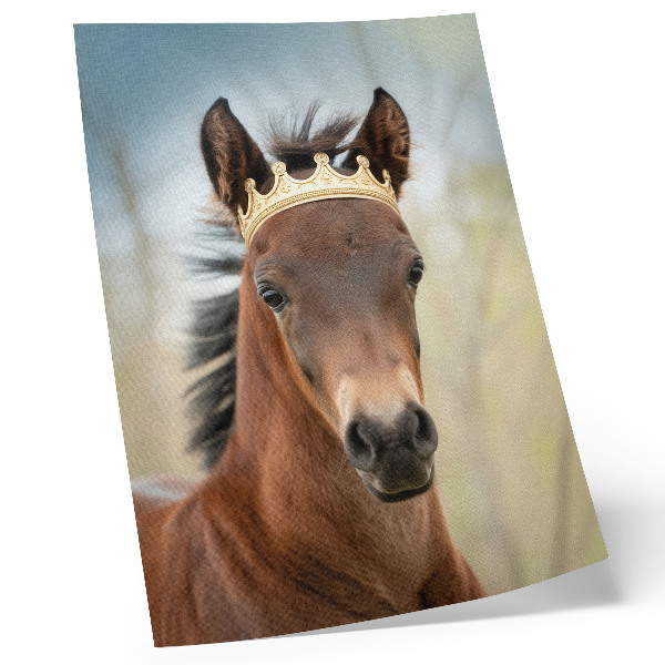 Poster Ein Pferd mit Krone vor neutralem Hintergrund