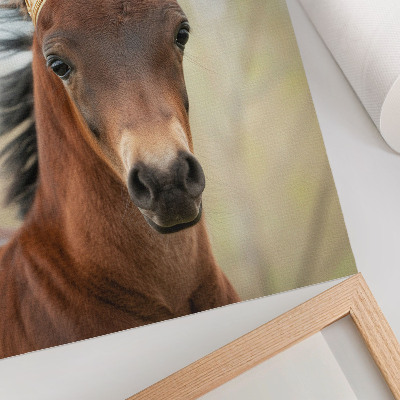 Poster Ein Pferd mit Krone vor neutralem Hintergrund