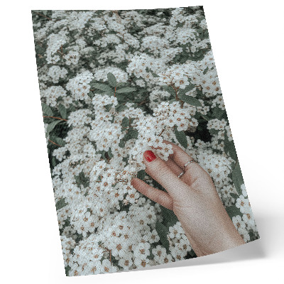 Kunstdruck leinwand Weiße Blumen, grüne Hände, rote Nägel