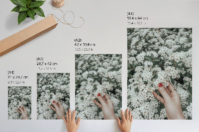 Kunstdruck leinwand Weiße Blumen, grüne Hände, rote Nägel