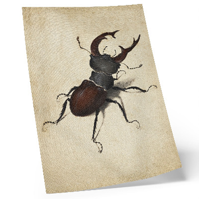 Wandposter Der Hirschkäfer von Albrecht Dürer (1505)