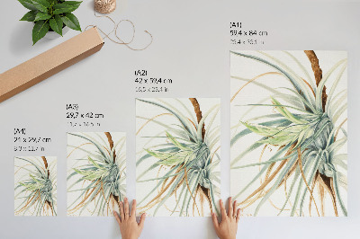 Poster Wilde Ananas (Tillandsia fasciculata) (1921) von Mary Vaux Walcott