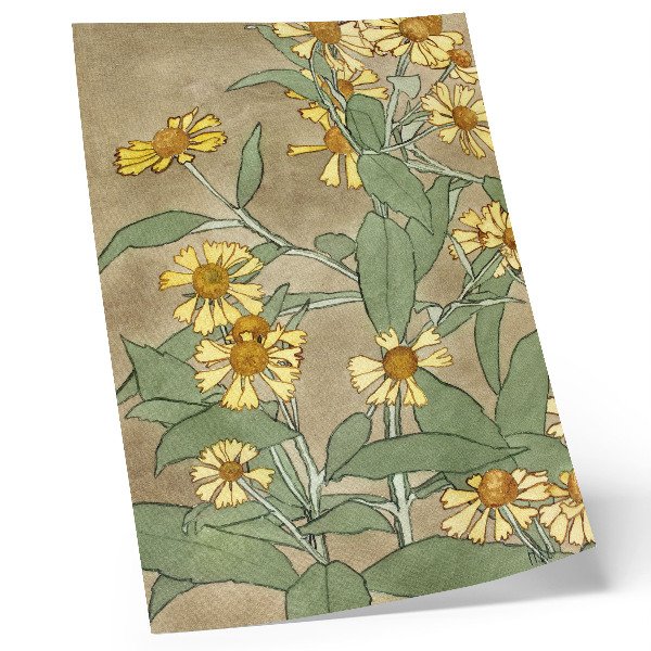 Poster Gänseblümchen mit orangefarbener Mitte und gelben Blütenblättern (1915), Hannah Borger Overbeck