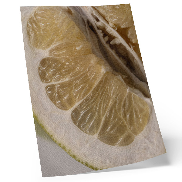 Poster Eine Zitronenscheibe mit saftigen Segmenten