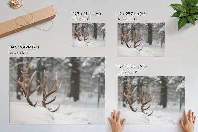 Kunstdruck poster Geweihe im Schnee, Winterwald, natürliche Ruhe