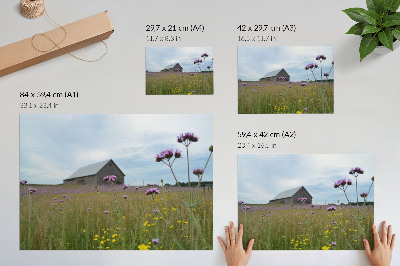 Poster kunstdruck Wiese mit lila und gelben Blumen auf einer ländlichen Scheune