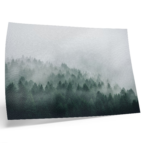 Poster kunstdruck Nebelverhangene Wälder, die Frieden und Geheimnis ausstrahlen.