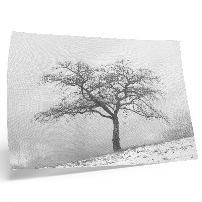 Poster Einsamer Baum, Winterfrieden, Minimalismus, Harmonie