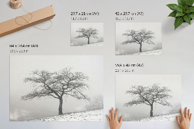 Poster Einsamer Baum, Winterfrieden, Minimalismus, Harmonie