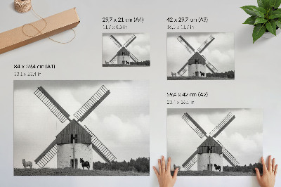 Poster Eine schwarz-weiße Windmühle auf einem Feld mit Pferden