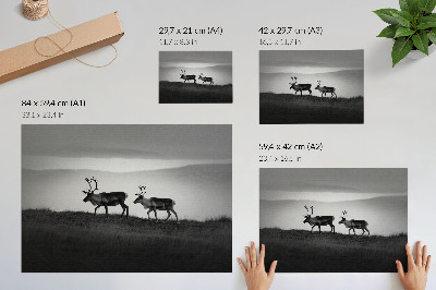 Kunstdruck poster Rentier auf einem Hügel – minimalistische Komposition