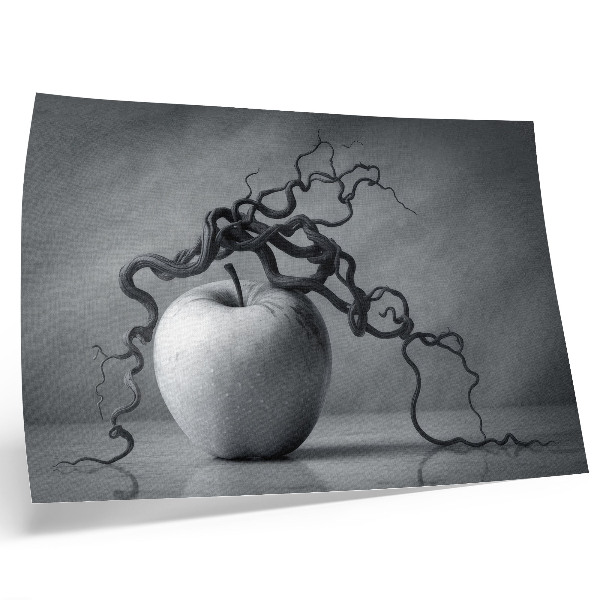 Kunstdruck poster Der Kontrast zwischen Apfel und Ast bildet eine harmonische Monochromie.