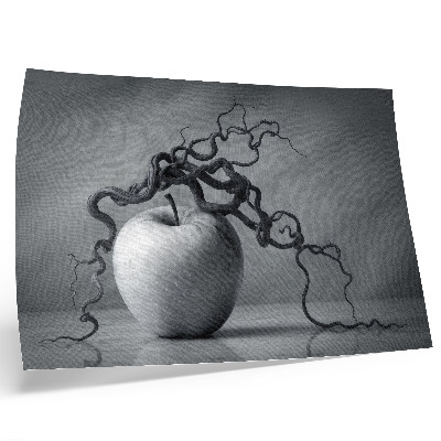 Kunstdruck poster Der Kontrast zwischen Apfel und Ast bildet eine harmonische Monochromie.