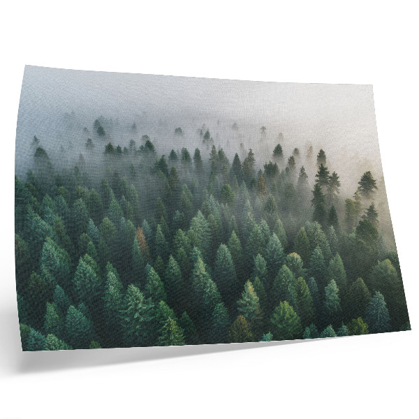 Poster kunstdruck Grüner Wald im Nebel, stimmungsvoll und geheimnisvoll.