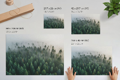 Poster kunstdruck Grüner Wald im Nebel, stimmungsvoll und geheimnisvoll.