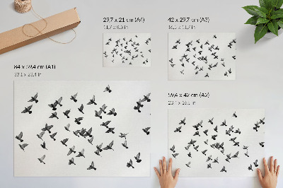 Poster kunstdruck Vögel im Flug – Elegante Schwarz-Weiß-Harmonien