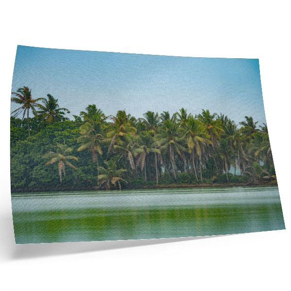 Poster kunstdruck Tropische Palmen, ruhiges Wasser, harmonischer Himmel