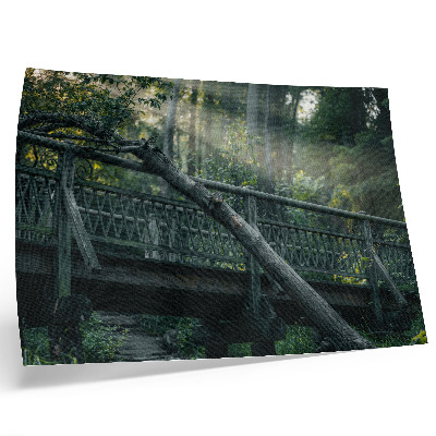 Poster kunstdruck Eine Holzbrücke inmitten von Grün und Sonnenlicht