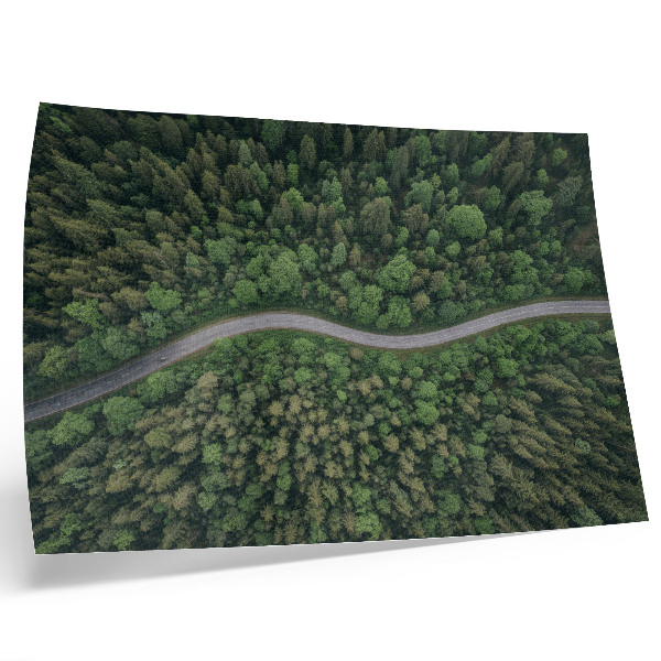 Poster kunstdruck Grüner Wald, gewundene Straße, friedliche Atmosphäre