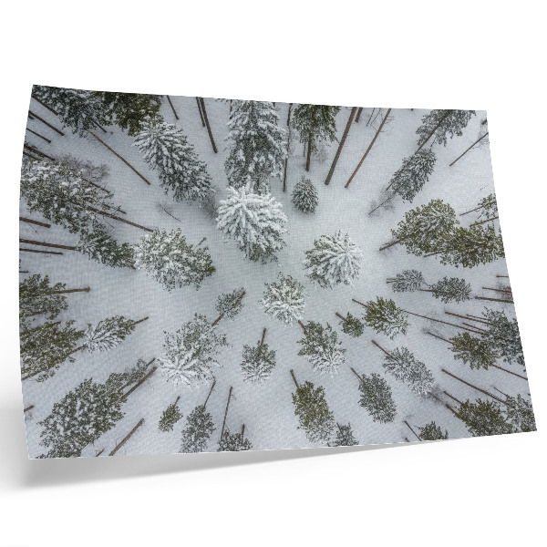 Kunstdruck poster Winterwaldfrieden, Minimalismus, Natürlichkeit
