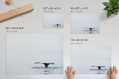 Poster kunstdruck Walflossenflosse über Wasser Minimalismus Harmonie