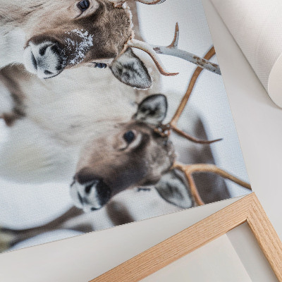 Poster kunstdruck Rentiere mit natürlichem Geweih – Harmonie in der Winterlandschaft