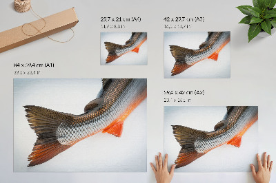 Kunstdruck poster Natürliche Schuppen und dynamische Farben in Nahaufnahme