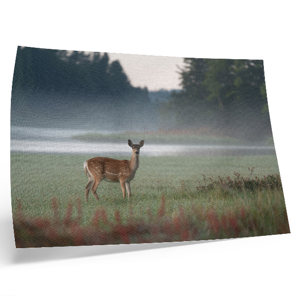 Poster kunstdruck Hirsche vor dem Hintergrund nebliger Wiesen und Wälder