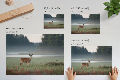 Poster kunstdruck Hirsche vor dem Hintergrund nebliger Wiesen und Wälder
