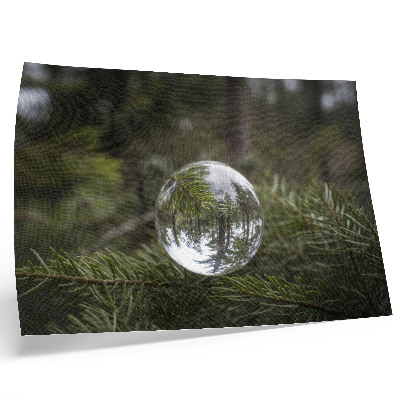 Kunstdruck poster Eine Kristallkugel vor dem Hintergrund eines Kiefernzweigs