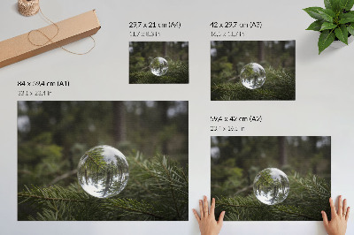 Kunstdruck poster Eine Kristallkugel vor dem Hintergrund eines Kiefernzweigs