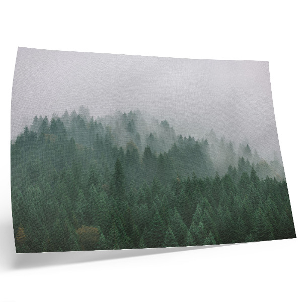 Poster Ein nebliges Panorama eines Waldes voller Grün und Grau