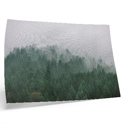 Poster Ein nebliges Panorama eines Waldes voller Grün und Grau