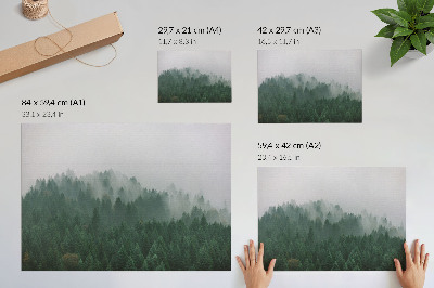 Poster Ein nebliges Panorama eines Waldes voller Grün und Grau