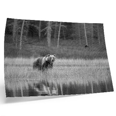 Poster kunstdruck Bär am Wasser, Schwarz-Weiß-Atmosphäre