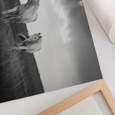 Kunstdruck poster Weiße Pferde vor einer Wiese in Grautönen