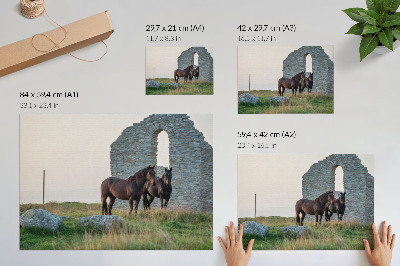 Poster Der Kontrast zwischen Ruinen und Pferden im Grünen