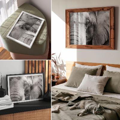 Poster kunstdruck Monochrome Elefantendetails Minimalismus Eleganz