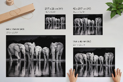 Poster kunstdruck Elefanten am Wasser, friedliche Harmonie und Spiegelung