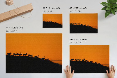 Kunstdruck poster Silhouetten von Hirschen auf einem Hügel vor orangefarbenem Hintergrund
