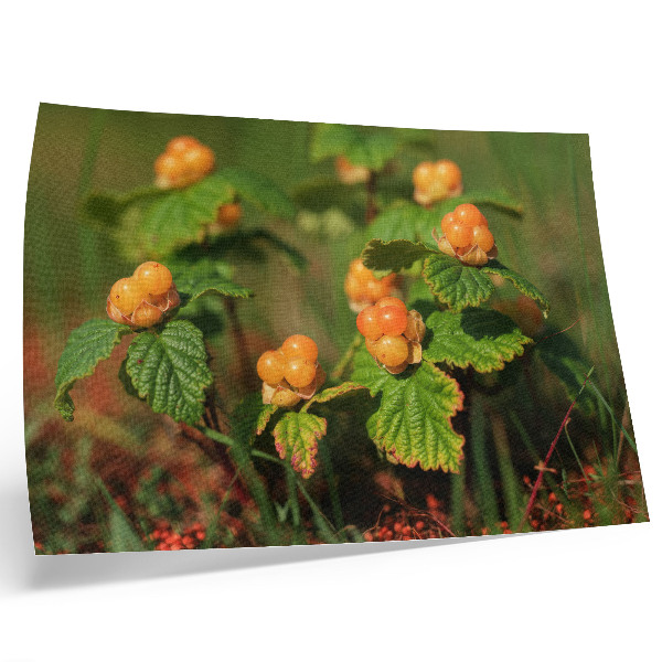 Poster Grüne Blätter, orange Früchte, natürlicher Charme