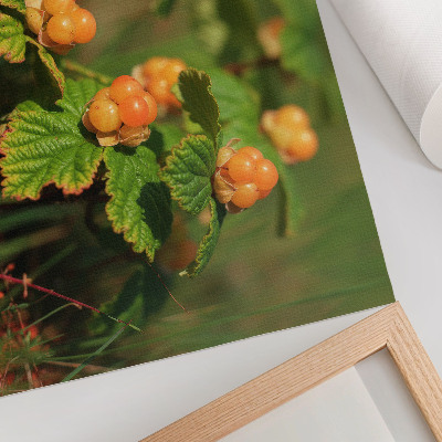 Poster Grüne Blätter, orange Früchte, natürlicher Charme