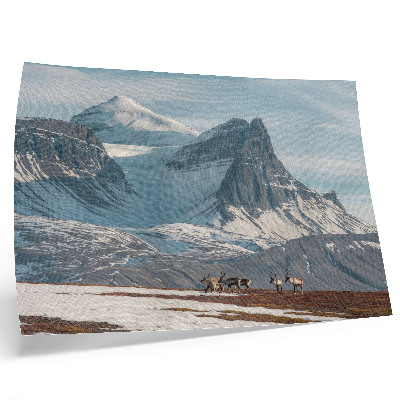 Kunstdruck poster Malerische Berge, friedliche Rentiere, Winterlandschaft