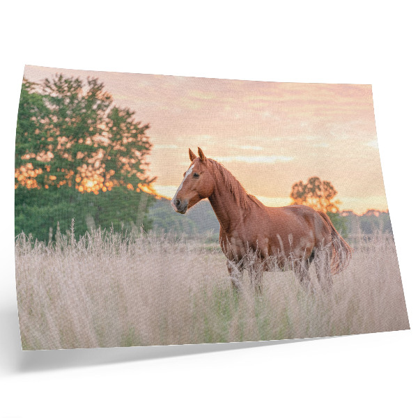 Poster kunstdruck Pferd auf der Wiese am Morgen, Pastellfarben, Entspannung