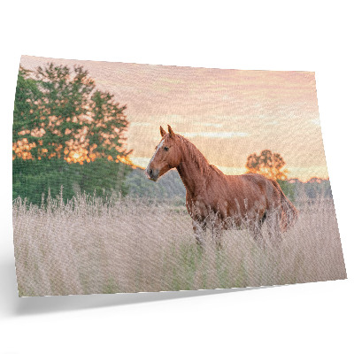 Poster kunstdruck Pferd auf der Wiese am Morgen, Pastellfarben, Entspannung