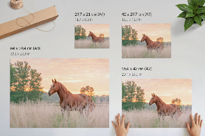 Poster kunstdruck Pferd auf der Wiese am Morgen, Pastellfarben, Entspannung